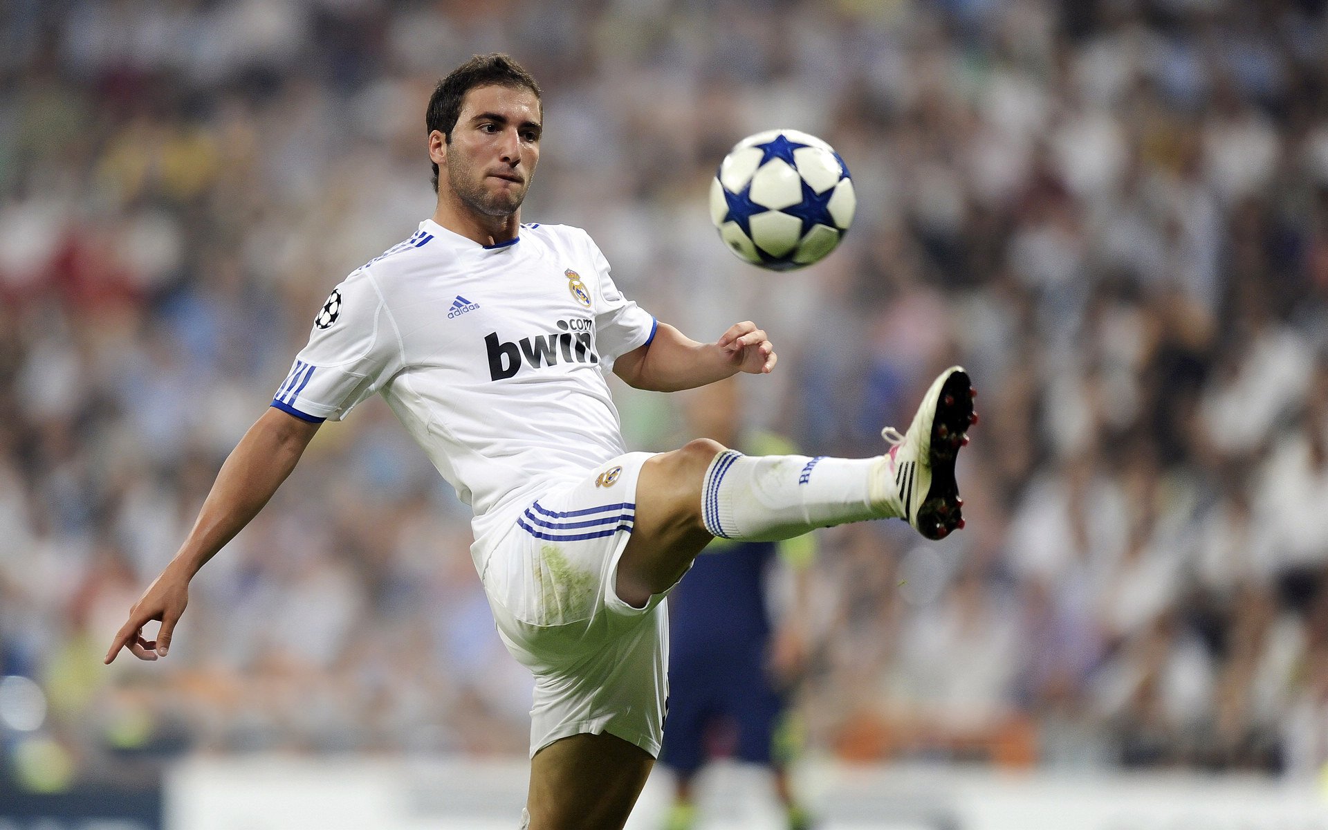 KY Sports-德甲争夺，球迷热烈讨论，德甲足球说